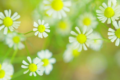 test３投稿